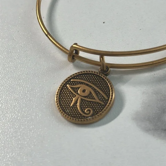 Pre owned Alex and Ani 2014 Charm Bangle Bracelet - Picture 4 of 13